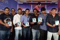 Ramayya Vastavayya Audio Function